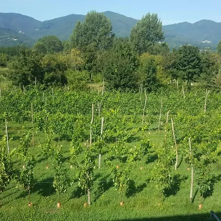 Il Folletto Dispettoso Bed & Breakfast Villafranca in Lunigiana